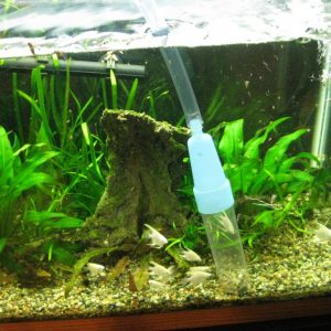 Как очистить аквариум: лучшие самодельные приспособления и советы по очистке аквариума в домашних условиях (115 фото)
